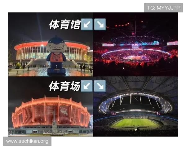 B体育中文站如何满足不同用户的体育资讯需求,提供个性化推荐和定制服务