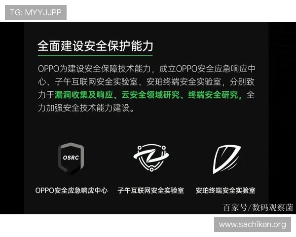 V体育官网登录安全保障措施全面介绍保障玩家账号信息安全与隐私保护